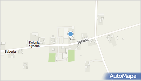 Dom Weselny Wiktoria, Syberia 18, Syberia 95-060 - Przedsiębiorstwo, Firma, NIP: 8331399796