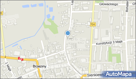 Domek DD, Lasockich 2/10, Brzeziny 95-060 - Przedsiębiorstwo, Firma, NIP: 8331136163