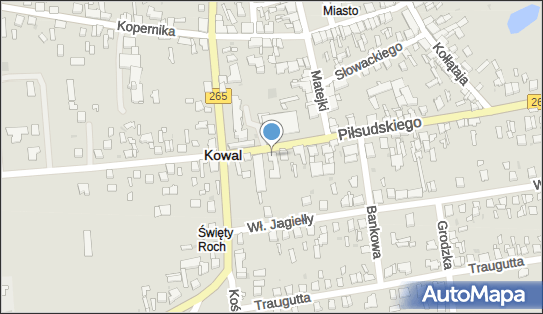 Domex Zofia Rudzińska, Kowal 87-820 - Przedsiębiorstwo, Firma, NIP: 8881930966