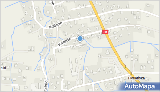 6842636262, Dominika Kenar 