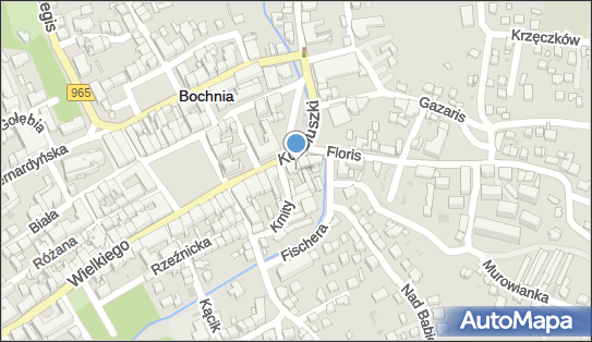 Domino - Dywany Dominik Bogucki, ul. Tadeusza Kościuszki 11 32-700 - Przedsiębiorstwo, Firma, NIP: 8681570210