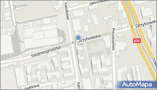 1250475756, Doradztwo i Szkolenia Dorota Maria Podleś 