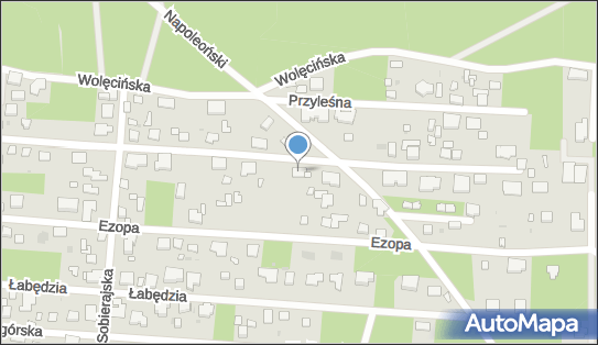 9521299822, Doradztwo i Zarządzanie Anna Jędrzejewska 