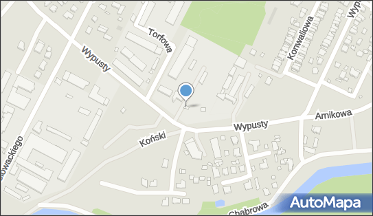 8461627965, Cholewiński Transport - Izabela Cholewińska-Piątyszek 