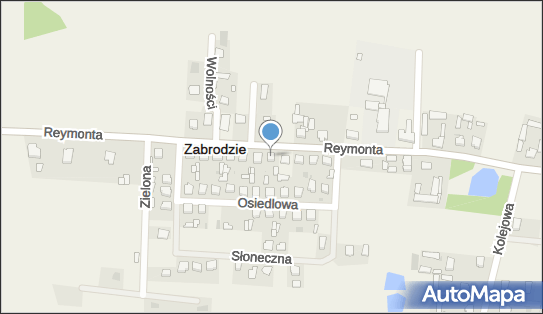 Doris, ul. Wł. St. Reymonta 32, Zabrodzie 07-230 - Przedsiębiorstwo, Firma, numer telefonu, NIP: 7621806594