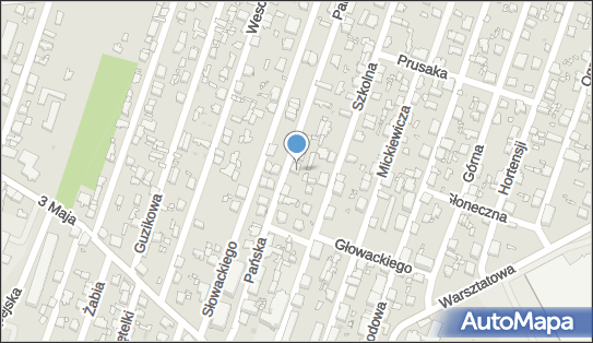 Dorn Lekarz Psychiatra Dzieci i Młodzieży, Pańska 44, Pruszków 05-800 - Przedsiębiorstwo, Firma, NIP: 5341855656