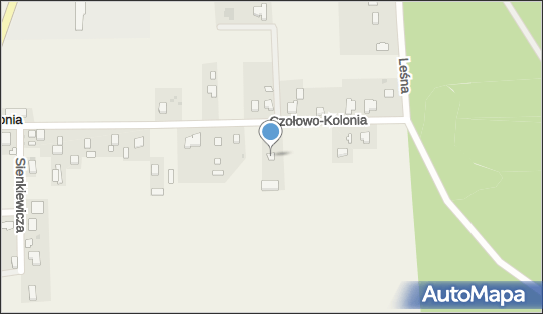 Dorota Bartłomiejczak, ul. Prusa 4, Czołowo-Kolonia 62-600 - Przedsiębiorstwo, Firma, NIP: 6661101238