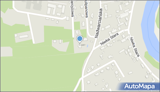 Dorota Cieszyńska Niumi, Nadwarciańska 74, Puszczykowo 62-040 - Przedsiębiorstwo, Firma, NIP: 7781315623