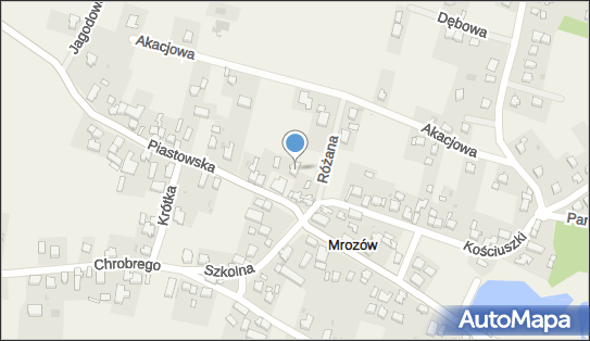 Dorota Put, ul. Piastowska 2, Mrozów 55-028 - Przedsiębiorstwo, Firma, NIP: 8942479426