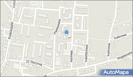 Dorota Wiśniewska - Działalność Gospodarcza, Piastowska 8 62-240 - Przedsiębiorstwo, Firma, NIP: 5571123709