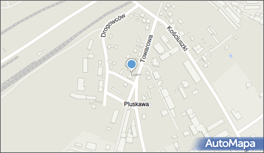 Dorota Woszczyńska Centrum Handlowe Ricardo Mała Gastronomia Tygrys 28-200 - Przedsiębiorstwo, Firma, NIP: 8661151007