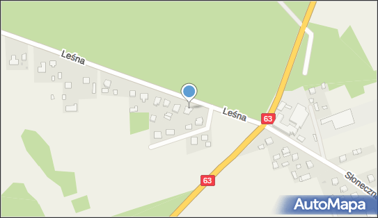 DPW, Leśna 2, Sabnie 08-331 - Przedsiębiorstwo, Firma, numer telefonu, NIP: 8231646976