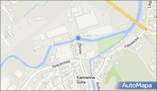 Drevix Przedsiębiorstwo Produkcyjno-Usługowo-Handlowe Wojakiewicz Edmund 58-400 - Przedsiębiorstwo, Firma, NIP: 6141290954