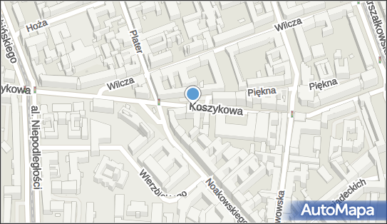 Drew Car, ul. Koszykowa 69, Warszawa 00-667 - Przedsiębiorstwo, Firma, numer telefonu, NIP: 6722021718