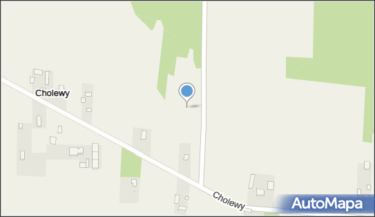 Drewo Majster sp. z o.o., Cholewy 9c, Błonie 05-870 - Przedsiębiorstwo, Firma, numer telefonu