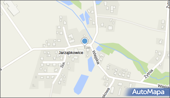 Drink Bar Domino, Rolnicza 1, Jarząbkowice 43-252 - Przedsiębiorstwo, Firma, NIP: 6331068555