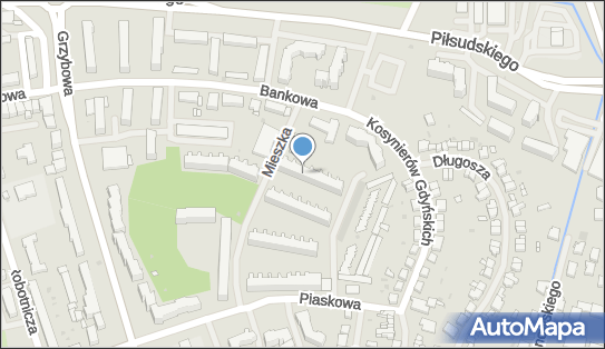 Drive Sped Specycja Krajowa i Międzynarodowa, Mieszka I 1d, Police 72-010 - Przedsiębiorstwo, Firma, NIP: 8511680684