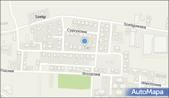 Drogowe Usługi Transportowe, Klonowa 23, Szeligi 05-850 - Przedsiębiorstwo, Firma, NIP: 1131961077
