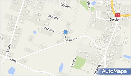 DUNI, ul. Jeżowa 1, Dołuje 72-002 - Przedsiębiorstwo, Firma, NIP: 9551350686