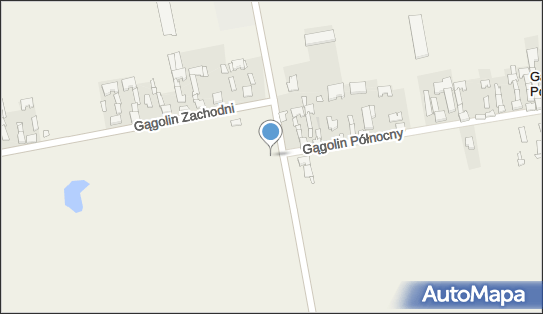 DW Trans, Gągolin Zachodni 1, Gągolin Zachodni 99-414 - Przedsiębiorstwo, Firma, numer telefonu, NIP: 8341460847