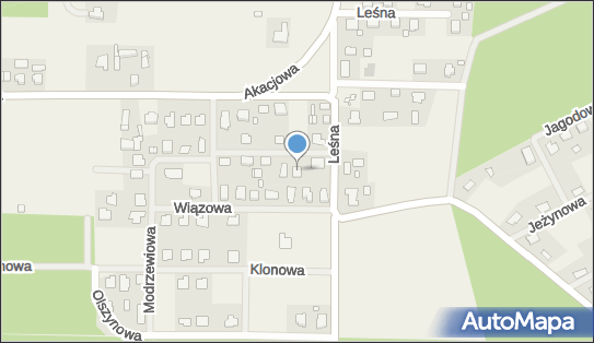 Dział Specjalny Produkcji Rolnej Uprawa Kwiatów i Warzyw Andrzej Kryszak 62-220 - Przedsiębiorstwo, Firma, numer telefonu, NIP: 7841226031