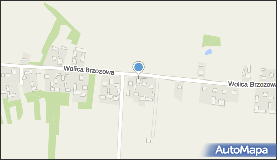 Dziubiński Witold Gospodarstwo Rolne, ul. 3 Maja 141 22-435 - Przedsiębiorstwo, Firma, NIP: 9211301329