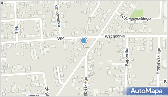 Easymotion, Żabikowska 12, Luboń 62-030 - Przedsiębiorstwo, Firma, numer telefonu, NIP: 7831692027