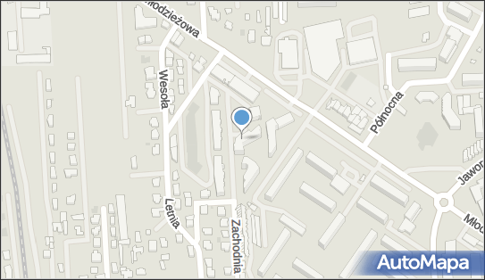 Eco Services Polska, ul. Młodzieżowa 31A, Płońsk 09-100 - Przedsiębiorstwo, Firma, numer telefonu, NIP: 5222857991