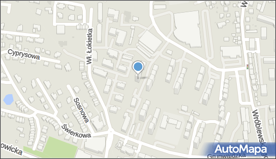 Ecotech Silesia Agata Kledzik, ul. Władysława Jagiełły 13A 41-106 - Przedsiębiorstwo, Firma, NIP: 6412233656