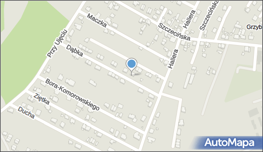 6481417738, Edo Sonia Kupczak-Wawrzak 