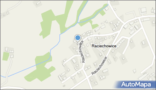 Edyta Puchała-Szymoniak Transport Osobowo - Towarowy, Raciechowice 32-415 - Przedsiębiorstwo, Firma, NIP: 6811356745