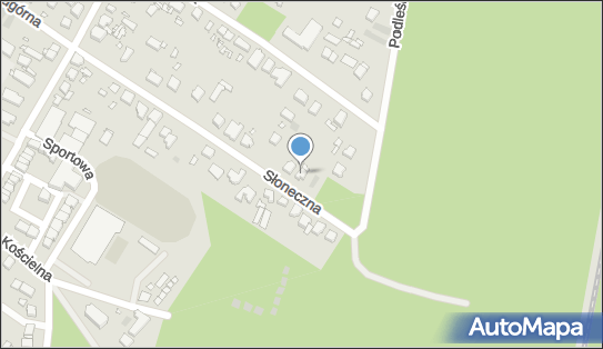 Eko Igi, Słoneczna 21, Puszczykowo 62-040 - Przedsiębiorstwo, Firma