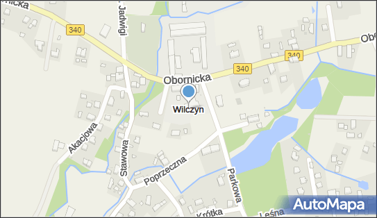 Eldorado, Dąbrowski A., Oborniki Śląskie, Wilczyn N/N, Wilczyn 55-035 - Przedsiębiorstwo, Firma, NIP: 8971597022