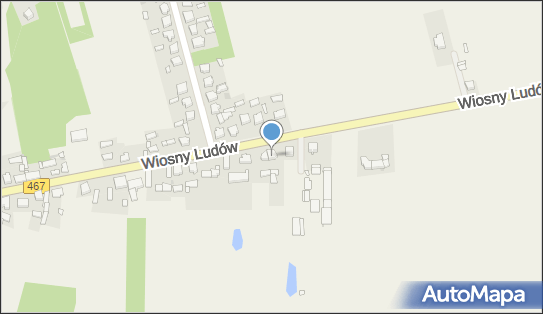 Elektronika Samochodowa Paweł Błaszczak, Wiosny Ludów 38, Ciążeń 62-404 - Przedsiębiorstwo, Firma, NIP: 6671705512