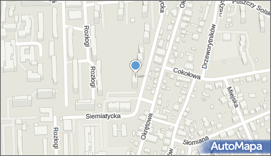 5262438131, Elin Art.Spożywcze i Przemysłowe Borowy Ferdynand 