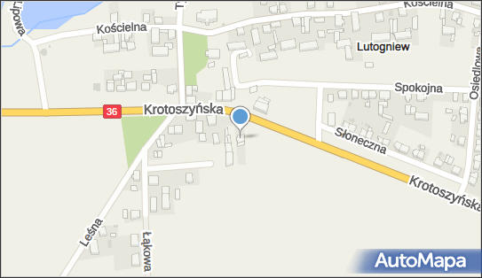 Elżbieta Bilewicz, ul. Krotoszyńska 177, Lutogniew 63-700 - Przedsiębiorstwo, Firma, NIP: 6211300541