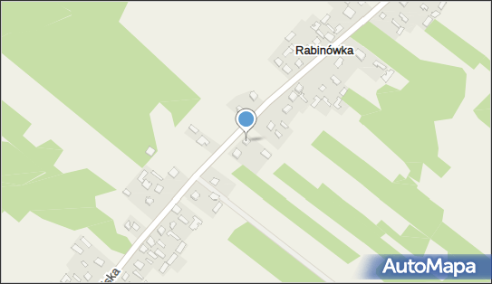 Emilian Palak, Rabinówka 67, Rabinówka 22-600 - Przedsiębiorstwo, Firma, NIP: 9211003684