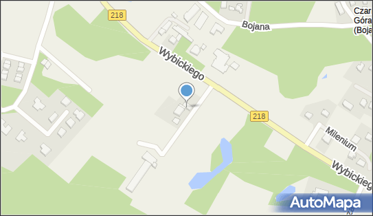 Empire A Wojciechowski, ul. Józefa Wybickiego 45, Bojano 84-207 - Przedsiębiorstwo, Firma, NIP: 5881994657