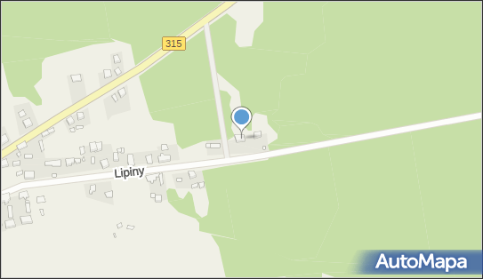 Endriu Andrzej Hirsch, Lipiny 20, Lipiny 67-108 - Przedsiębiorstwo, Firma, NIP: 9251973408