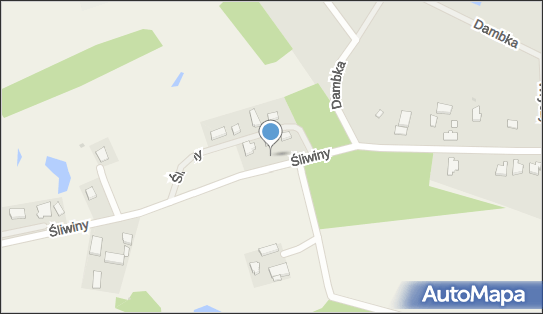 Ensys, Śliwiny 37, Śliwiny 83-110 - Przedsiębiorstwo, Firma, NIP: 6321810881