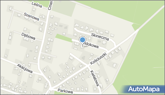 Equus Ewa Tomiczek, Widokowa 4, Mrozów 55-330 - Przedsiębiorstwo, Firma, NIP: 8942442067