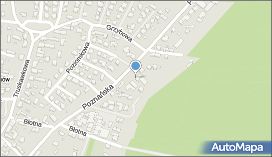 ergo, Poznańska 22b, Zielona Góra 65-137 - Przedsiębiorstwo, Firma, numer telefonu