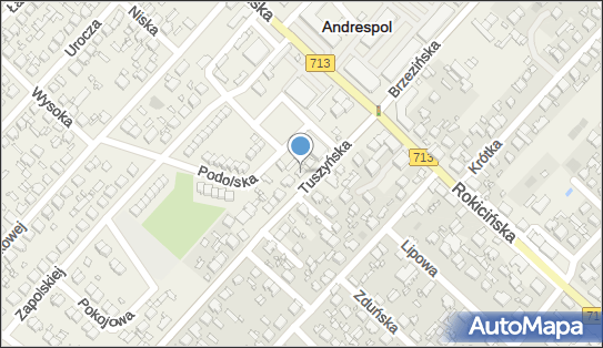 Euro-Service Dariusz Jaszczuk, Tuszyńska 9, Andrespol 95-020 - Przedsiębiorstwo, Firma, NIP: 7281038741