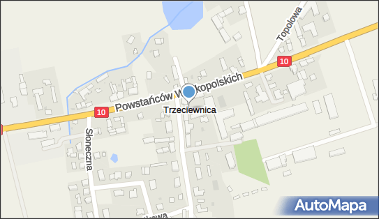 Eurokurier Transport i Logistyka Mathews Mariusz Jankowski Jan 89-100 - Przedsiębiorstwo, Firma, NIP: 5581307776