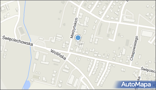 Euromasz, Święciechowska 79c, Leszno 64-100 - Przedsiębiorstwo, Firma