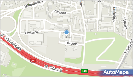 6342491300, Europejskie Centrum Silesia sp. z o.o. 