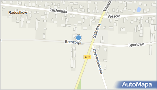 Evolution Krzysztof Lipartowski, ul. Brzozowa 9, Częstochowa 42-200 - Przedsiębiorstwo, Firma, NIP: 5732708072