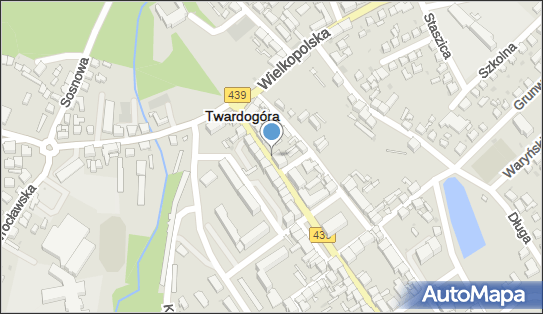 Ewa Leśniewska, Ratuszowa 24, Twardogóra 56-416 - Przedsiębiorstwo, Firma, NIP: 9111263894