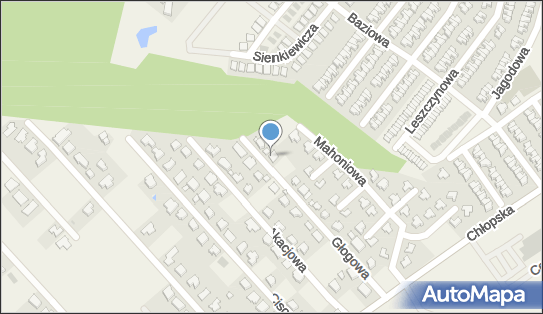 8981557716, Ewelina Nahurska 