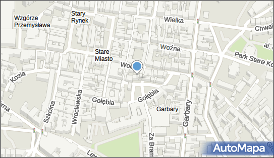 Excon Controlling Polska, Plac Kolegiacki 4, Poznań 61-841 - Przedsiębiorstwo, Firma, numer telefonu, NIP: 7781439839